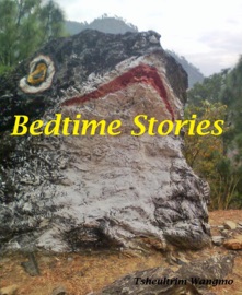 Book's Cover of Bedtime Stories