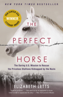 Elizabeth Letts - The Perfect Horse artwork