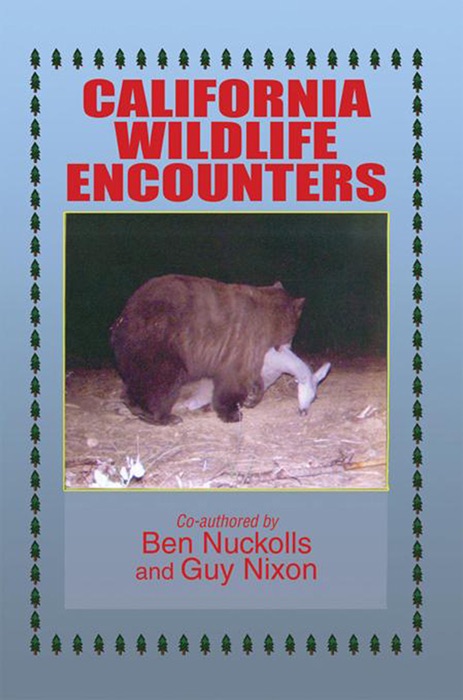 California Wildlife Encounters