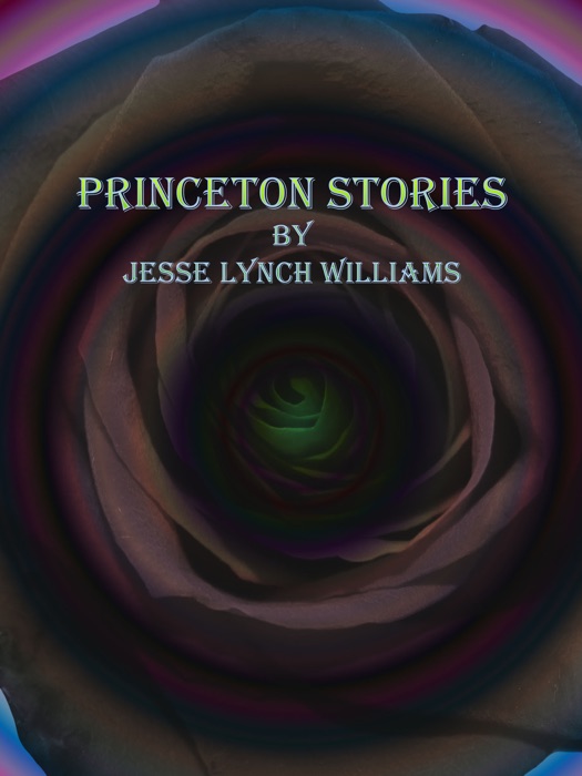 Princeton Stories