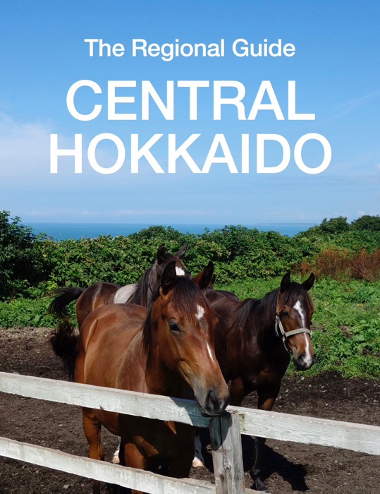 Central Hokkaido Travel Guide