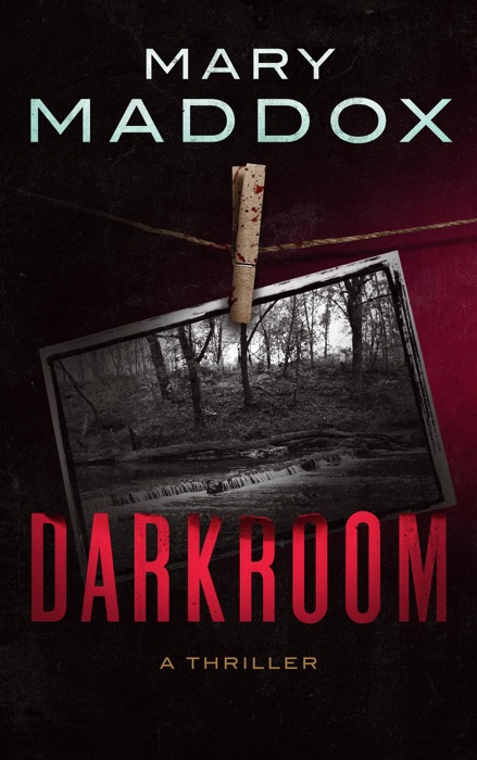 Darkroom: A Thriller