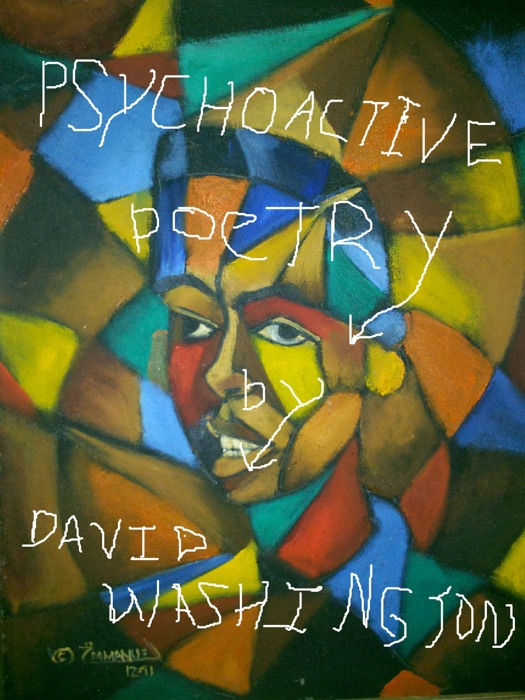Psychoactive Poetry: Poetry Therapy Meditations on the Quest for Ultimate Meaning