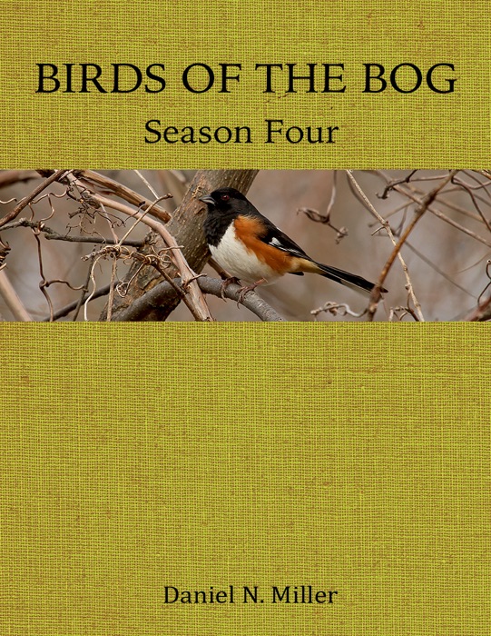 Birds of the Bog Season Four