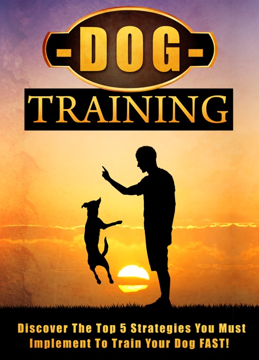 Dog Training Discover The Top 5 Strategies You Must Implement To Train Your Dog FAST!