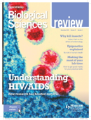 Biological Sciences Review Magazine Volume 31, 2018/19 Issue 2 - Hodder Education Magazines