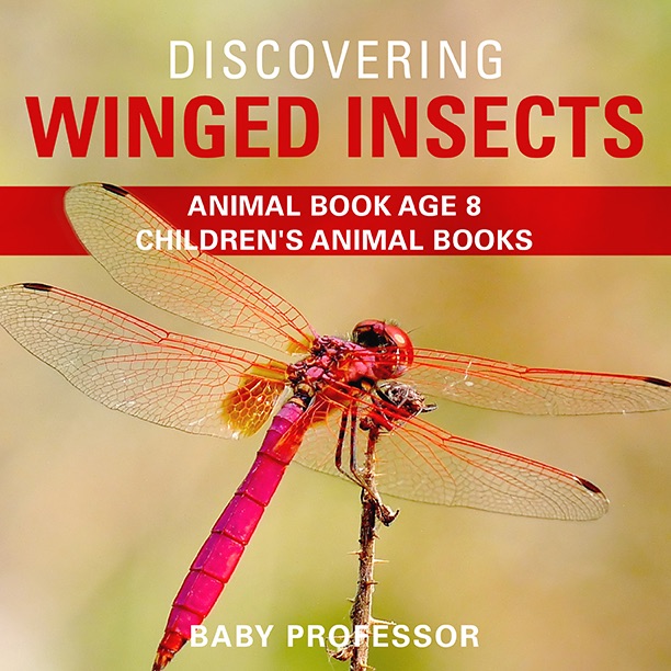 Discovering Winged Insects - Animal Book Age 8  Children's Animal Books