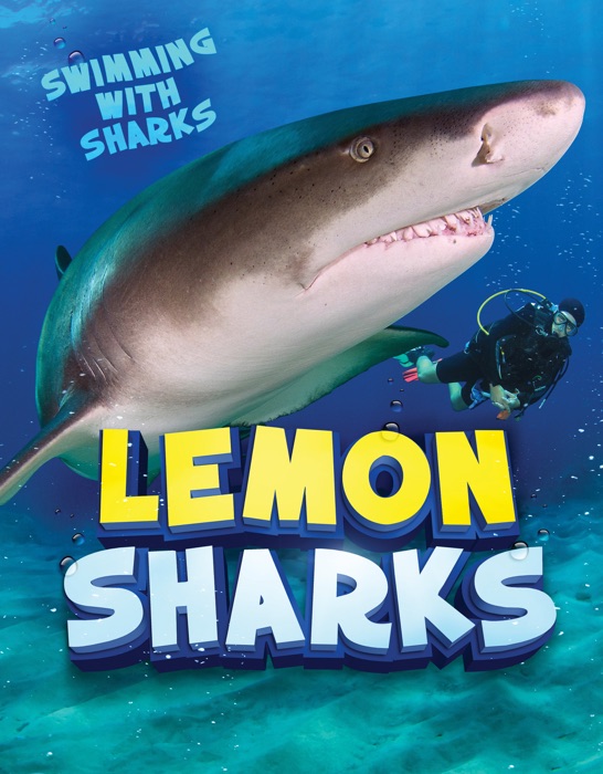 Lemon Sharks