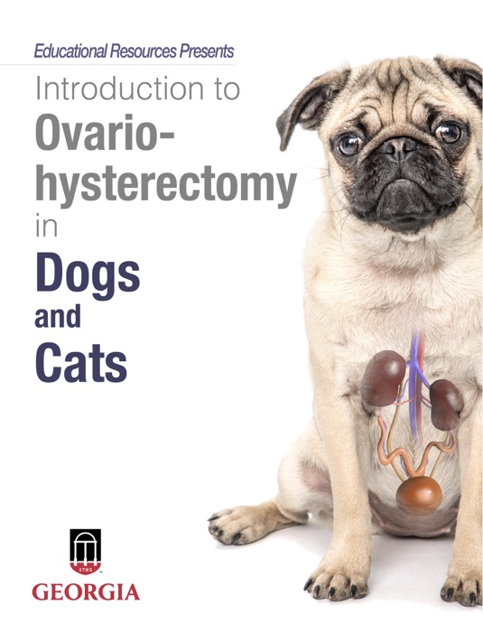 Introduction to Ovariohysterectomy