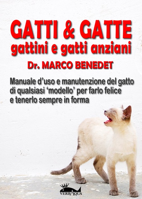 Gatti & gatte gattini e gatti anziani