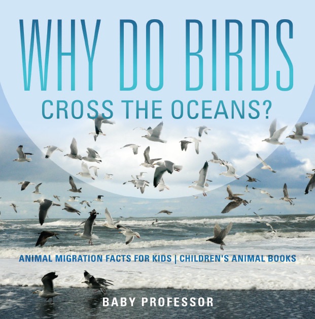 Why Do Birds Cross the Oceans? Animal Migration Facts for Kids  Children's Animal Books