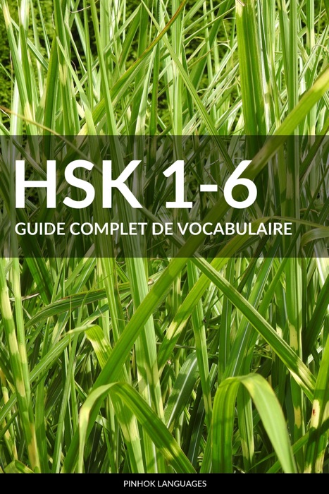 HSK 1-6 Guide Complet de Vocabulaire