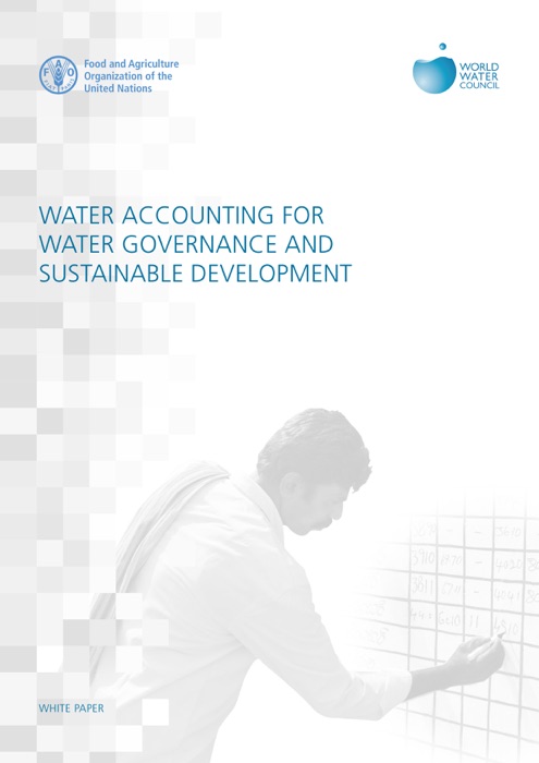 Water Accounting for Water Governance and Sustainable Development: White Paper