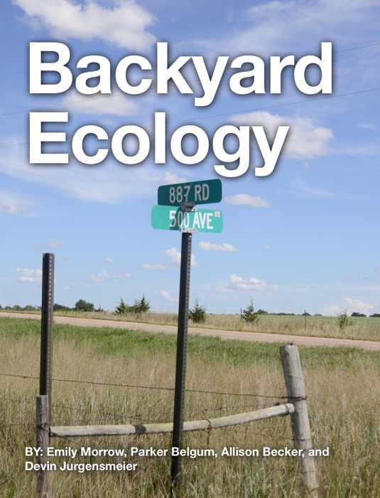 Backyard Ecology