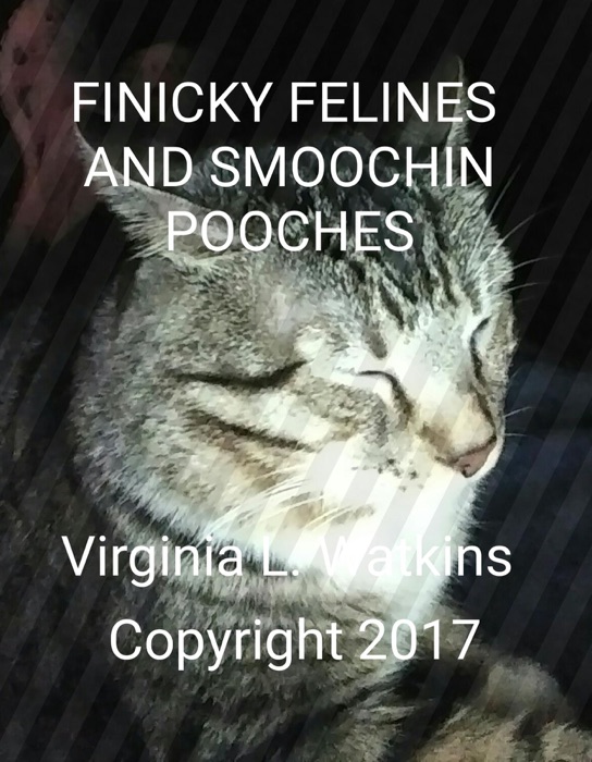 Finicky Felines and Smoochin Pooches