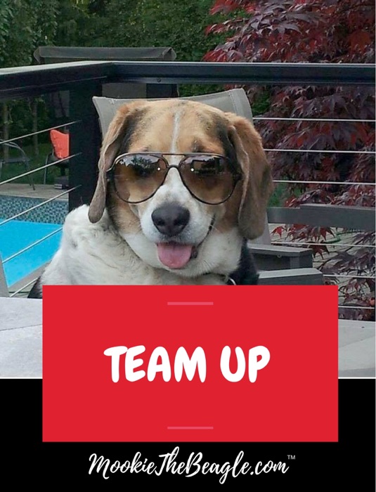 MOOKIETHEBEAGLE.COM TEAM UP