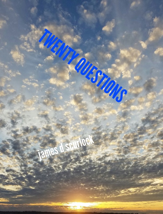 TWENTY QUESTIONS