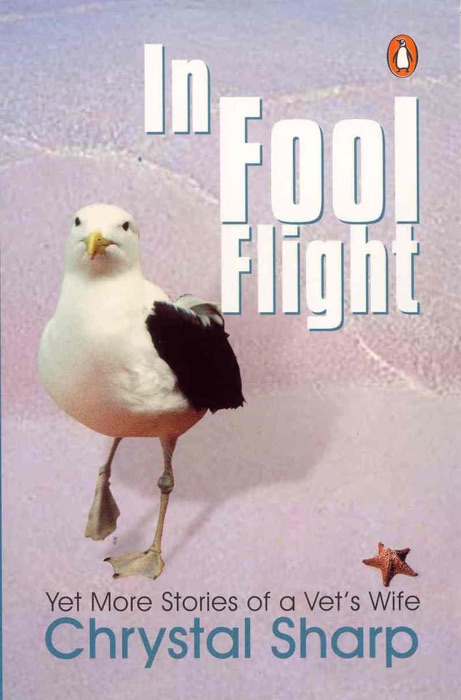 In Fool Flight