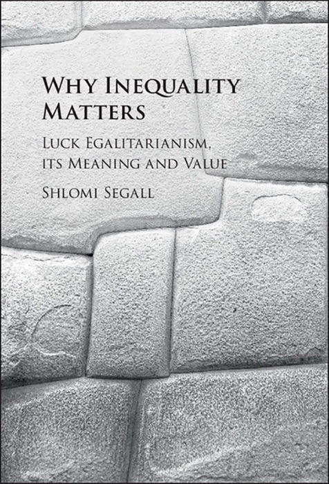 Why Inequality Matters