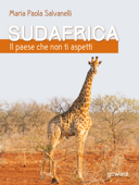 Sudafrica, il paese che non ti aspetti - Maria Paola Salvanelli