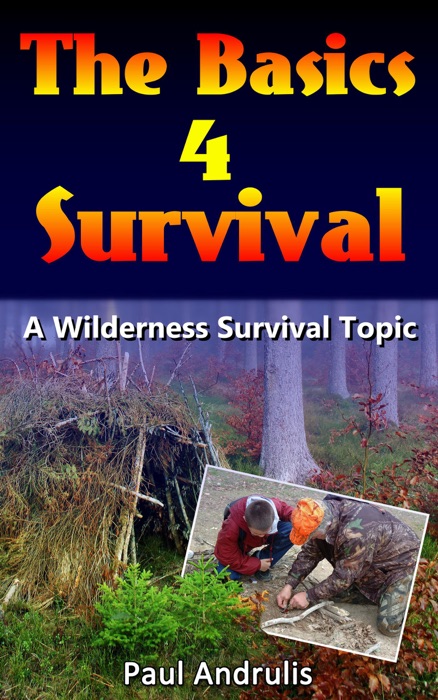Basics 4 Survival
