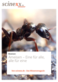 Ameisen - Dieter Lohmann & scinexx.de