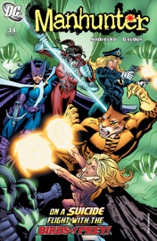 Manhunter (2004-) #34 - Marc Andreyko, Michael Gaydos & Brad Walker by  Marc Andreyko, Michael Gaydos & Brad Walker PDF Download