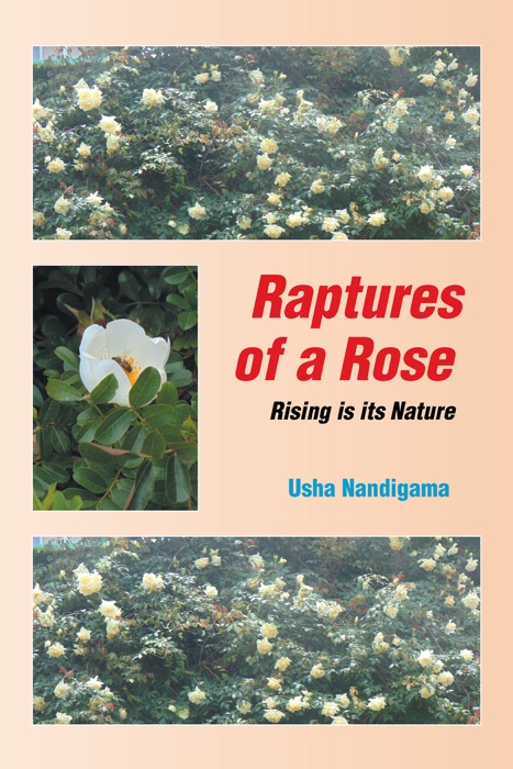 Raptures of a Rose