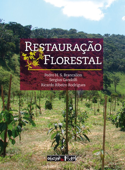 Restauração florestal