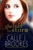 Shelter from the Storm - Calle J. Brookes