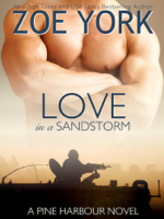 Zoe York - Love in a Sandstorm artwork