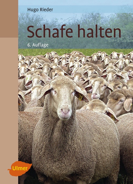 Schafe halten