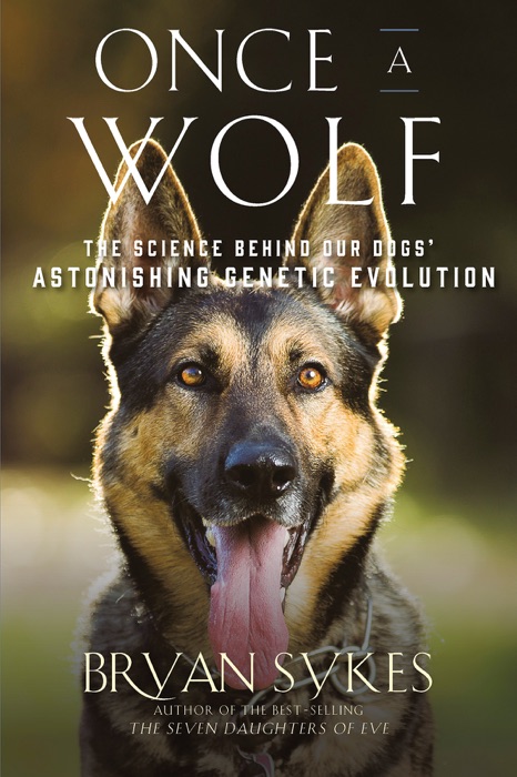 Once a Wolf: The Science that Reveals Our Dogs' Genetic Ancestry