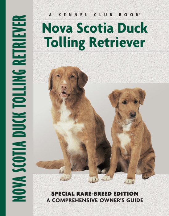 Nova Scotia Duck Tolling Retriever