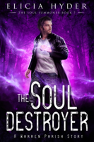 Elicia Hyder - The Soul Destroyer artwork