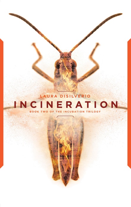 Incineration