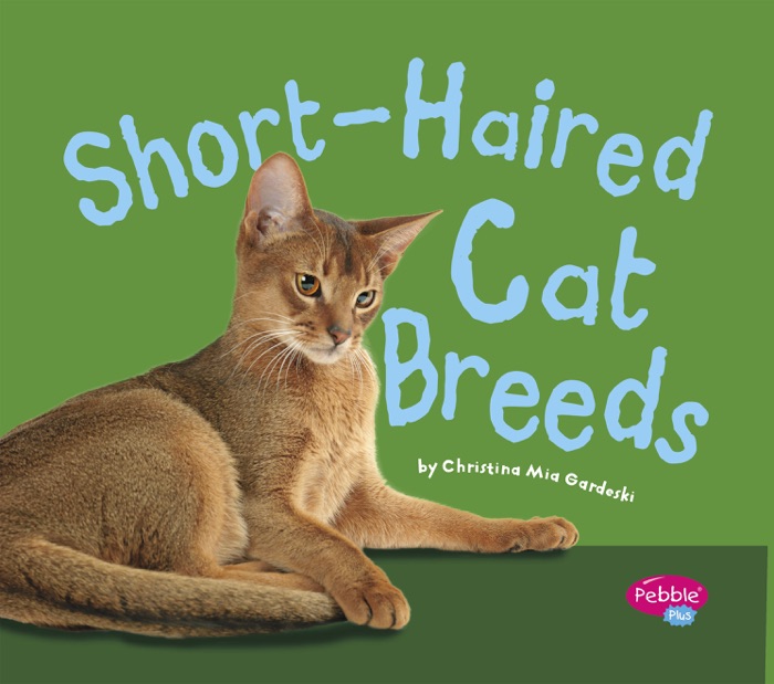 Short-Haired Cat Breeds