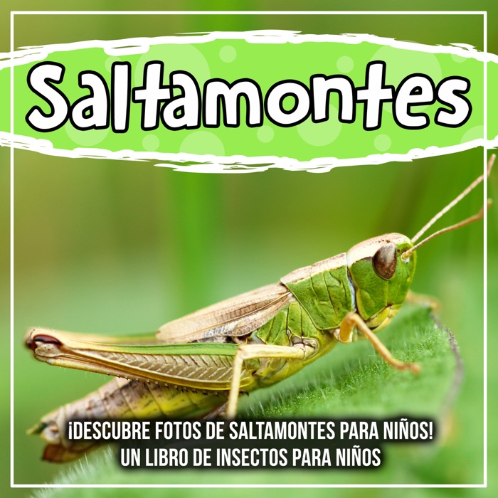 Saltamontes: ¡Descubre fotos de saltamontes para niños! Un libro de insectos para niños