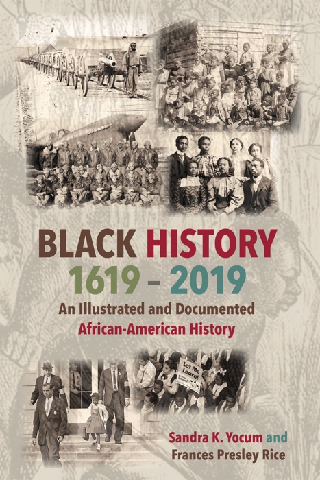 Black History 1619-1919