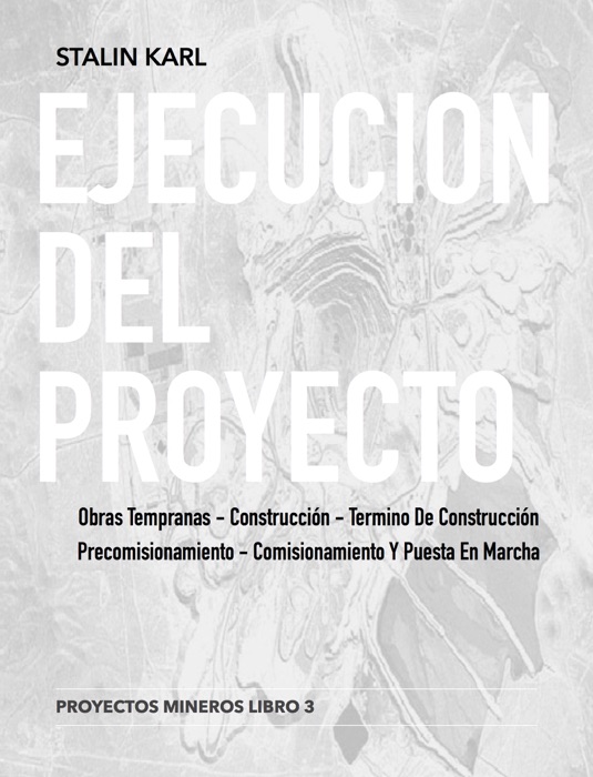 EJECUCION DEL PROYECTO