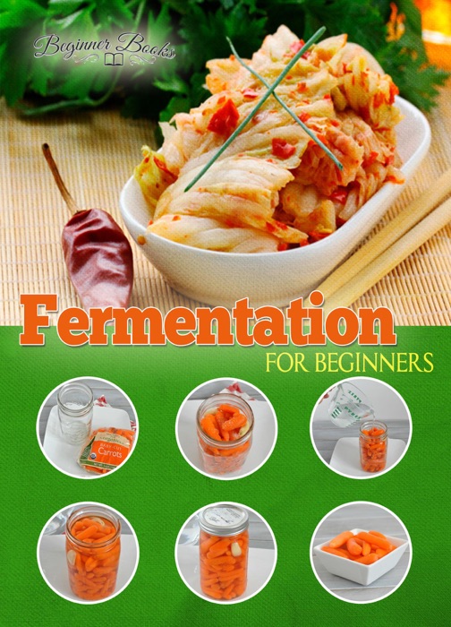 Fermentation for Beginners