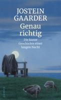 Jostein Gaarder - Genau richtig artwork