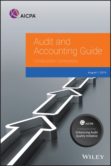 Audit and Accounting Guide