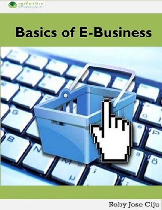 Basics of E-business