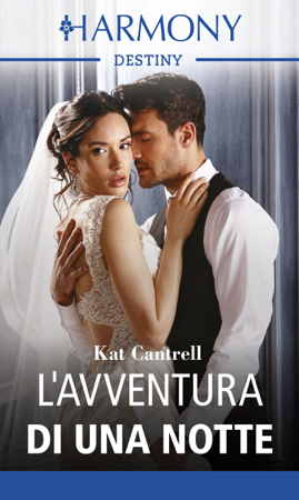L'avventura di una notte - Kat Cantrell