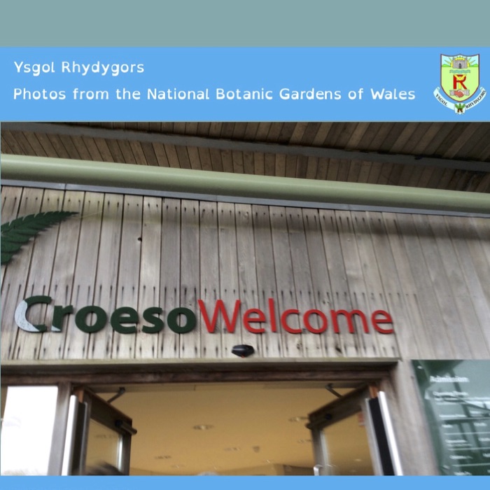 Ysgol Rhydygors - Photos from the National Botanic Gardens of Wales