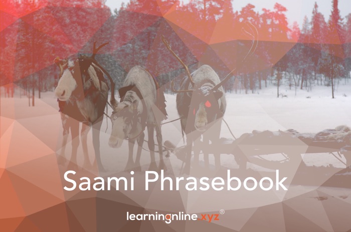 Saami Light Phrasebook