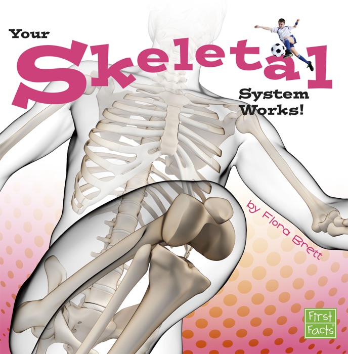 Your Skeletal System Works!