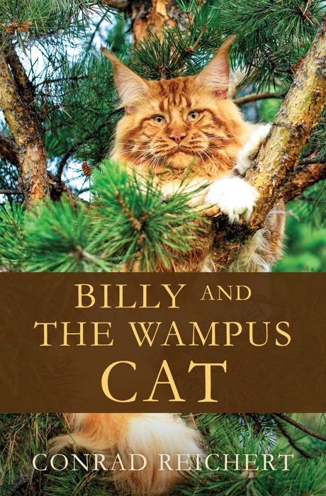 BILLY AND THE WAMPUS CAT
