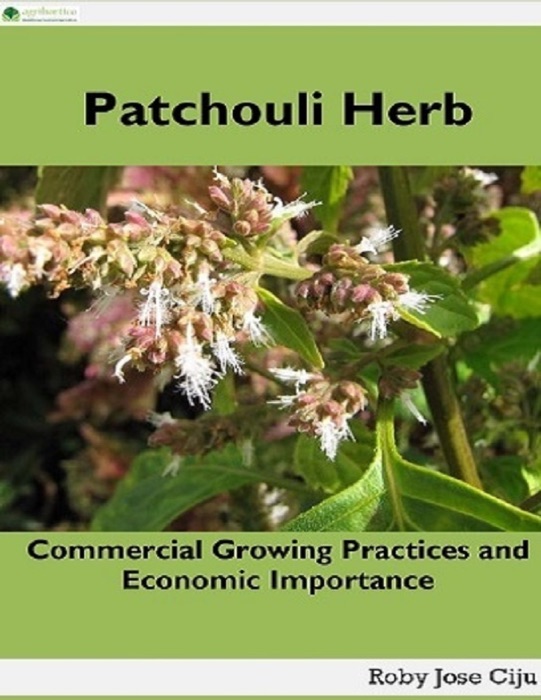 Patchouli Herb